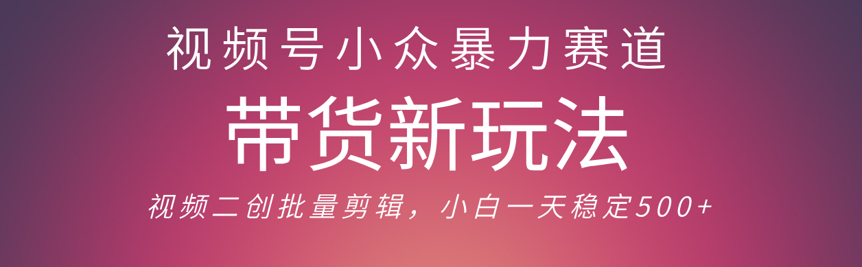 视频号小众暴力赛道，最新带货玩法 小白也能轻松日入500+ 保姆及教程-码豆资源站