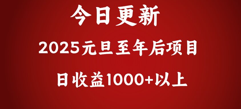 翻身项目，日收益1000+以上-码豆资源站