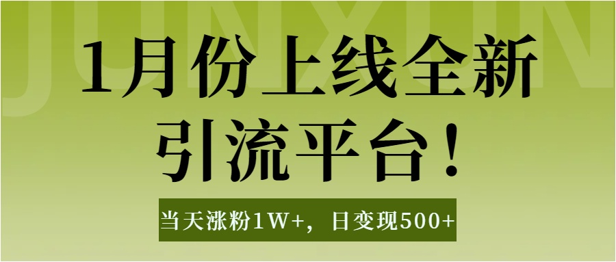 1月上线全新引流平台，当天涨粉1W+，日变现500+工具无脑涨粉，解放双手操作简单-码豆资源站