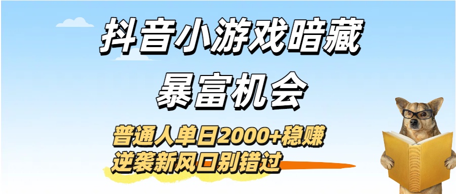 抖音小游戏暗藏暴富机会!普通人单日2000+稳赚,逆袭新风口别错过-码豆资源站