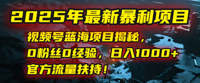 2025年最新暴利项目:视频号蓝海项目揭秘,0粉丝0经验,日入1000+,官方流量扶持!-码豆资源站