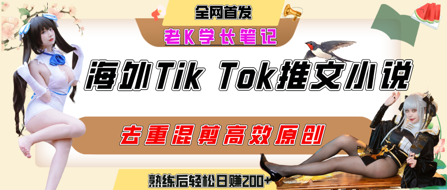 海外tiktok小说推文暴力项目,高停留率,高转化率,上手后一天搞顿饭钱不是问题-码豆资源站