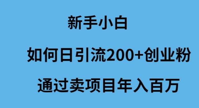 新手小白如何日引流200+创业粉通过卖项目年入百万-码豆资源站