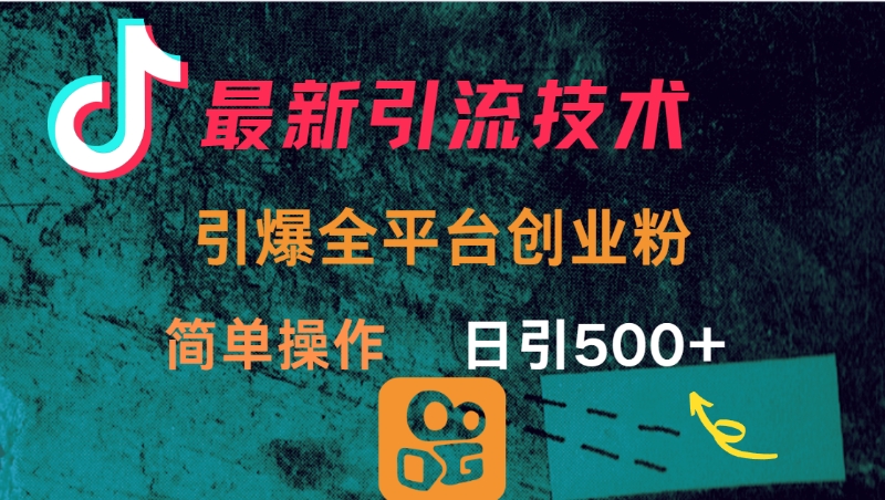最新引流方法，引爆全平台创业粉操作简单，日引300＋-码豆资源站