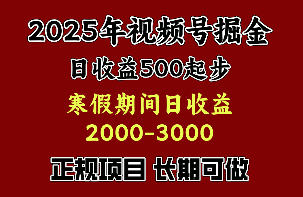 寒假期间一天收益2000+,小白一天就能上手-码豆资源站