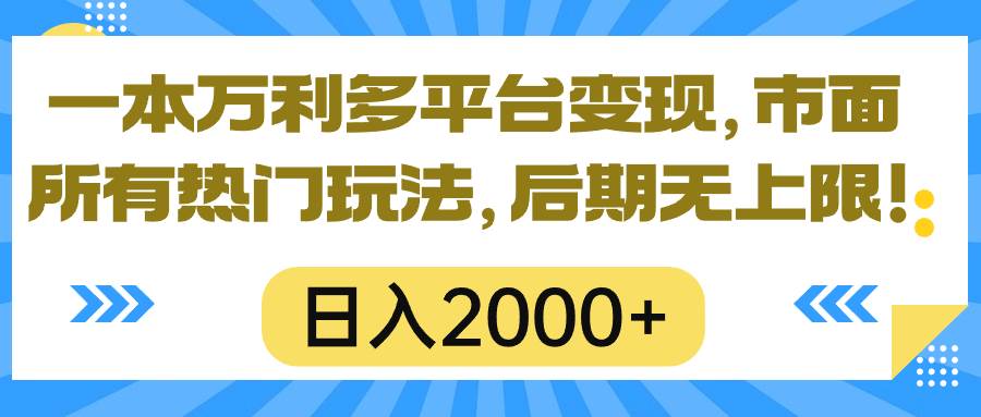 一本万利多平台变现，市面所有热门玩法，日入2000+，后期无上限！-码豆资源站