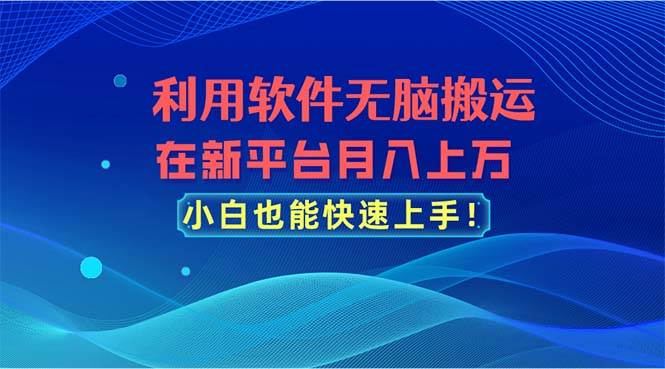 利用软件无脑搬运，在新平台月入上万，小白也能快速上手-码豆资源站