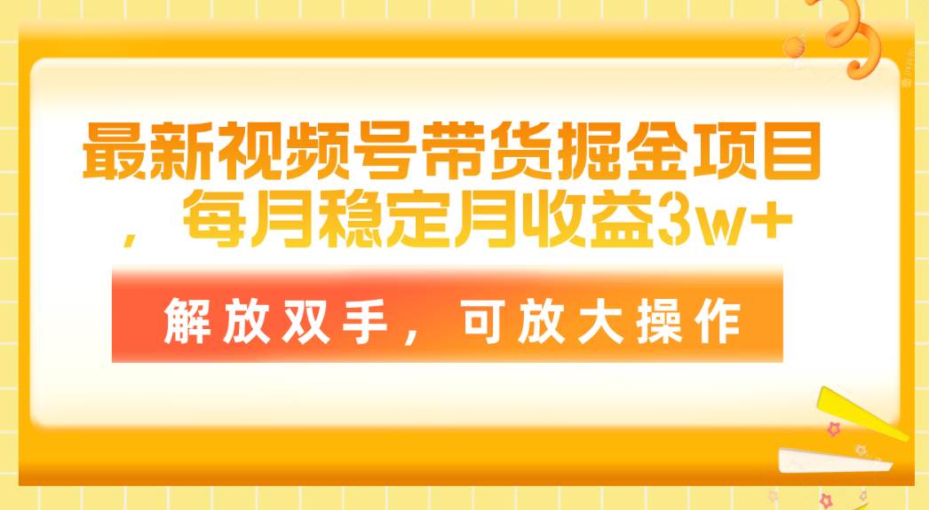 最新视频号带货掘金项目，每月稳定月收益3w+，解放双手，可放大操作-码豆资源站