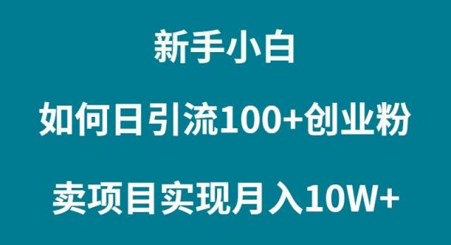 新手小白如何通过卖项目实现月入10W+-码豆资源站