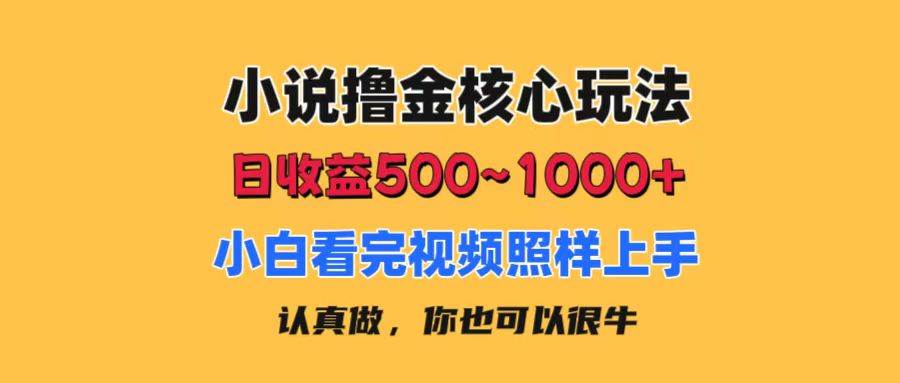 小说撸金核心玩法，日收益500-1000+，小白看完照样上手，0成本有手就行-码豆资源站