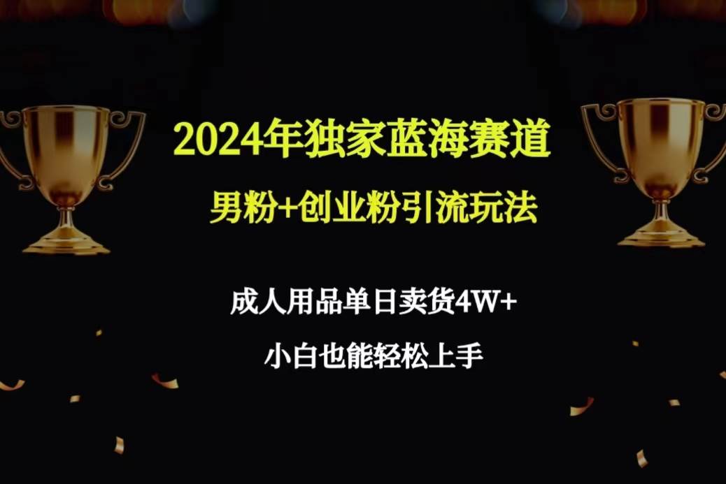 2024年独家蓝海赛道男粉+创业粉引流玩法，成人用品单日卖货4W+保姆教程-码豆资源站