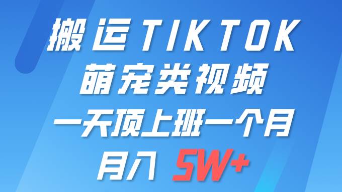 一键搬运TIKTOK萌宠类视频 一部手机即可操作 所有平台均可发布 轻松月入5W+-码豆资源站