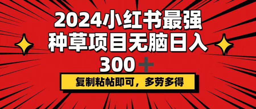 2024小红书最强种草项目，无脑日入300+，复制粘帖即可，多劳多得-码豆资源站