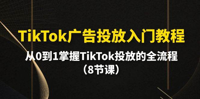 TikTok广告投放入门教程，从0到1掌握TikTok投放的全流程（8节课）-码豆资源站