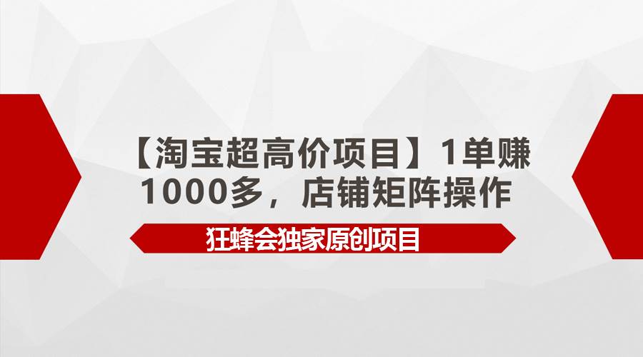 【淘宝超高价项目】1单赚1000多，店铺矩阵操作-码豆资源站