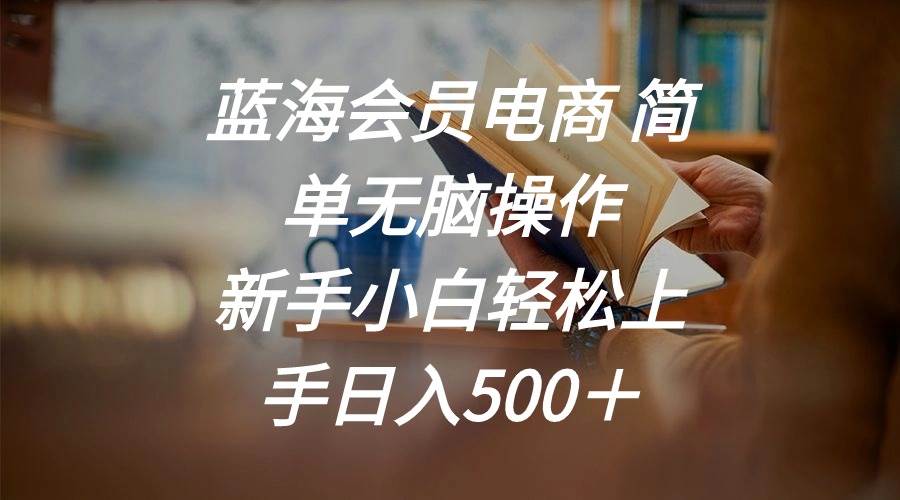 蓝海会员电商 简单无脑操作 新手小白轻松上手日入500+-码豆资源站