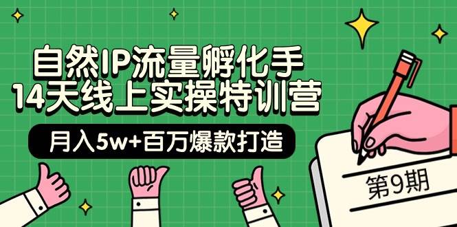 自然IP流量孵化手 14天线上实操特训营【第9期】月入5w+百万爆款打造 (74节)-码豆资源站