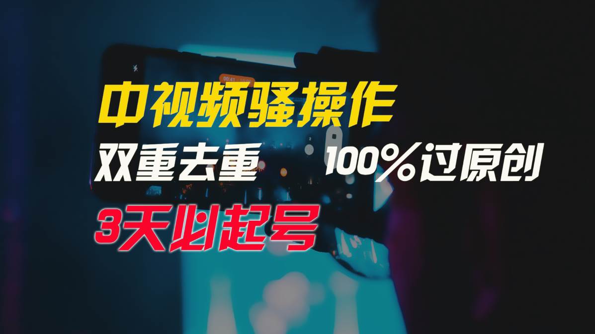 中视频骚操作，双重去重100%过原创，3天比必起号，简单无脑，月入3W+-码豆资源站