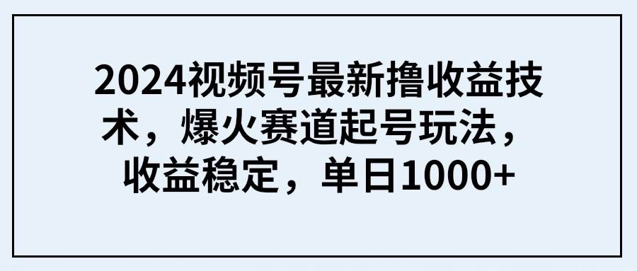 2024视频号最新撸收益技术,爆火赛道起号玩法,收益稳定,单日1000+-码豆资源站