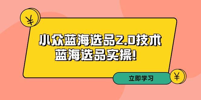拼多多培训第33期：小众蓝海选品2.0技术-蓝海选品实操！-码豆资源站
