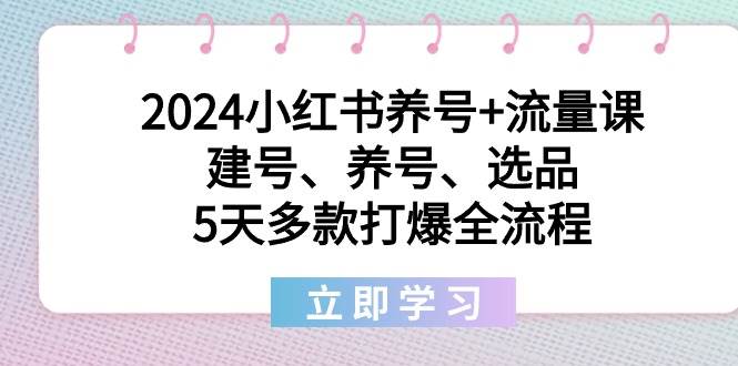 2024小红书养号+流量课:建号、养号、选品,5天多款打爆全流程-码豆资源站