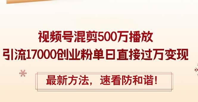 精华帖视频号混剪500万播放引流17000创业粉，单日直接过万变现，最新方…-码豆资源站