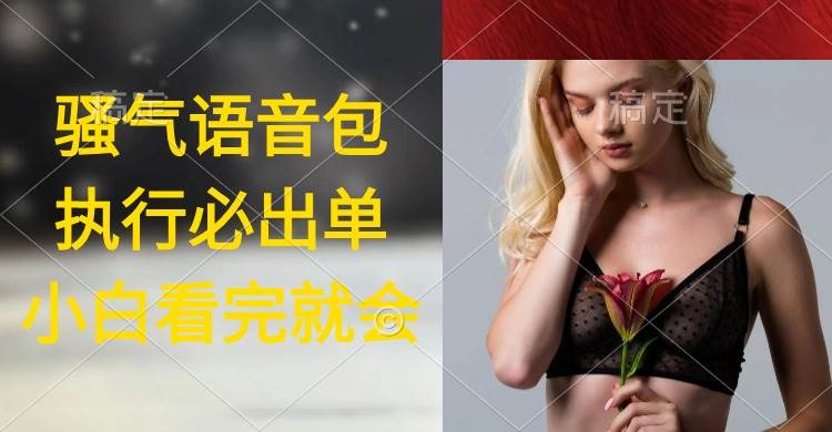 执行就出单，日入2000+，超火骚气语音包，小白看完课程就能马上实操-码豆资源站