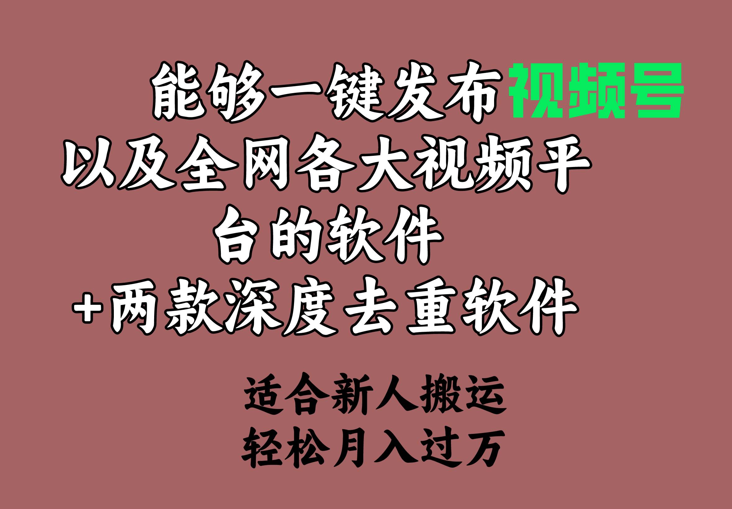 能够一键发布视频号以及全网各大视频平台的软件+两款深度去重软件 适合…-码豆资源站