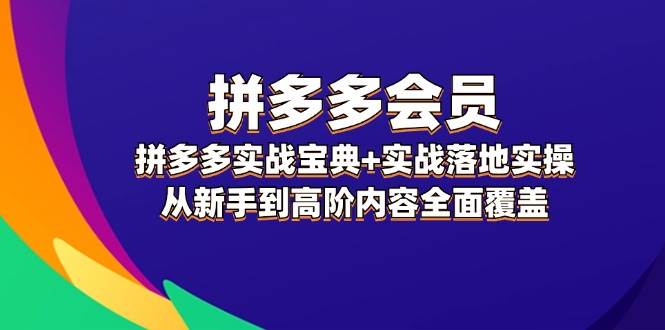 拼多多 会员，拼多多实战宝典+实战落地实操，从新手到高阶内容全面覆盖-码豆资源站