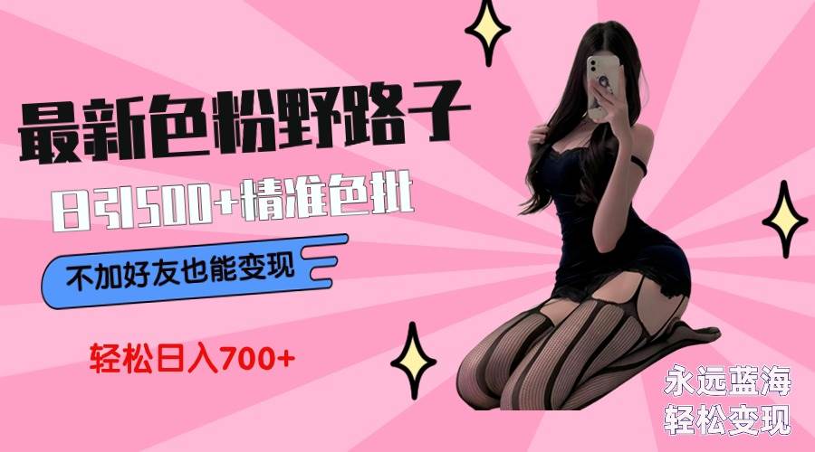 最新色粉变现野路子，日引500+老色批 可不加好友直接变现 小白轻松日入700+-码豆资源站