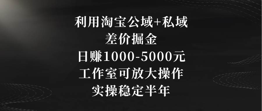 利用淘宝公域+私域差价掘金，日赚1000-5000元，工作室可放大操作，实操…-码豆资源站