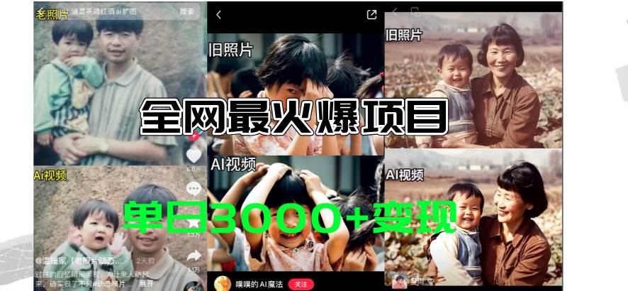 全网爆火的AI让老照片动起来教程,蹭热点日赚3000+,内含免费工具一键…-码豆资源站