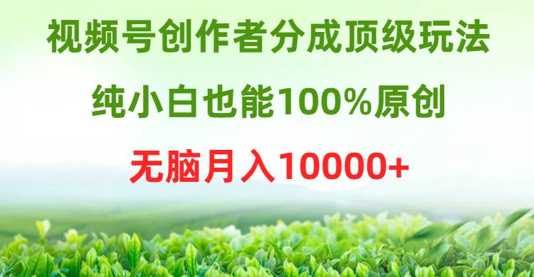 视频号创作者分成顶级玩法，纯小白也能100%原创，无脑月入10000+-码豆资源站