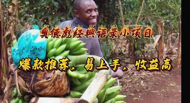 奥德彪经典语录小项目，爆款推荐，易上手，收益高-码豆资源站