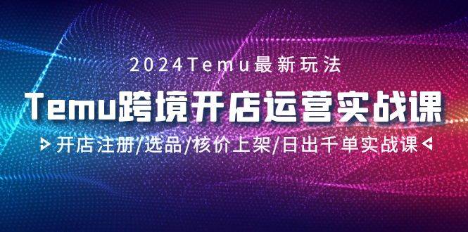 2024Temu跨境开店运营实战课，开店注册/选品/核价上架/日出千单实战课-码豆资源站
