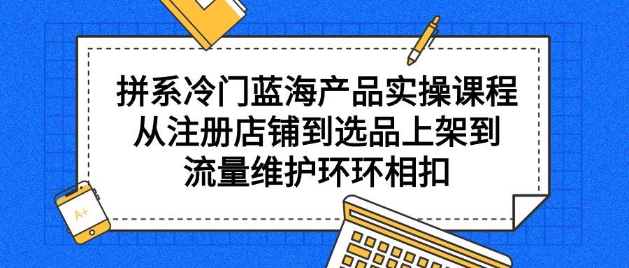 拼系冷门蓝海产品实操课程，从注册店铺到选品上架到流量维护环环相扣-码豆资源站