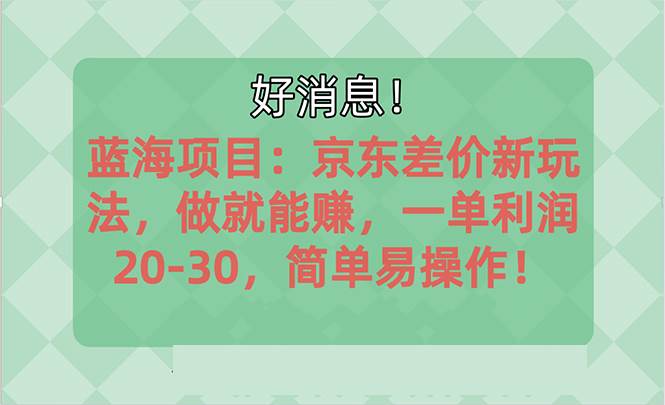 越早知道越能赚到钱的蓝海项目:京东大平台操作,一单利润20-30,简单…-码豆资源站